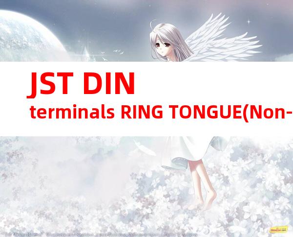 JST DIN terminals RING TONGUE(Non-insulated)系列 GS10-240产品规格书
